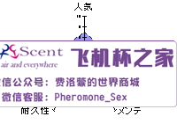 日本魔眼Magic Eyes魔幻飞机杯自慰名器测评