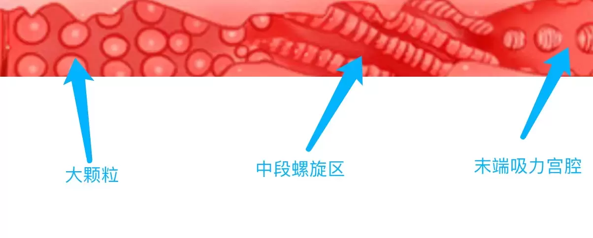 YUU热感奶瓶评测:我先干了这杯热热奶