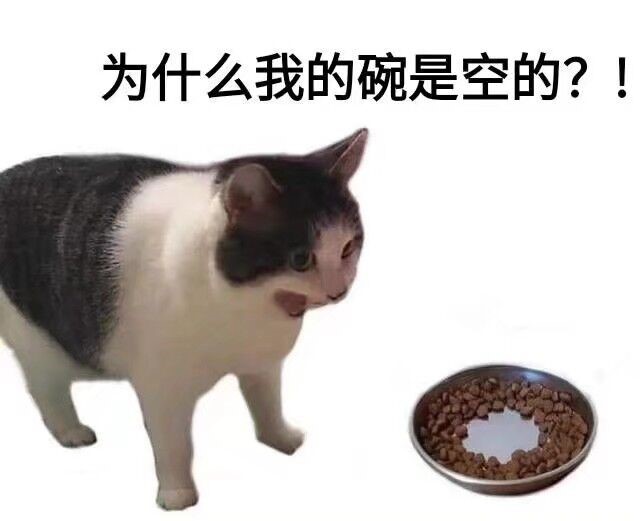 YUU极上双穴940克双通道飞机杯名器评测 – 丰满半身勾造