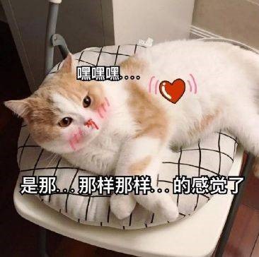 YUU宫花之尻倒模名器评测 – 全新的倒模全新的体验