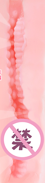 Onaho女神爱丽丝 – 号称堪比Tomax女神的国产飞机杯评测