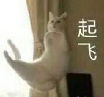 YUU虎牙妹妹飞机杯评测 – 鬼才设计师的虎牙创意