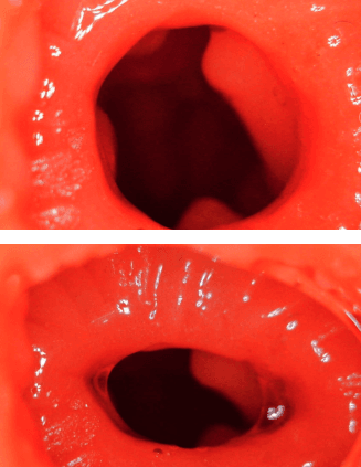 YUU 小优物语飞机杯 – 来自一个素人老哥的投稿，非常详细，可当新手教程！