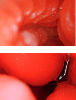 YUU 小优物语飞机杯 – 来自一个素人老哥的投稿，非常详细，可当新手教程！