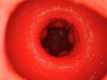 YUU 小优物语飞机杯 – 来自一个素人老哥的投稿，非常详细，可当新手教程！