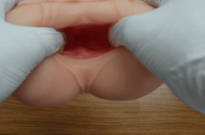 炼铜，炼金，炼牛至——LoveFactor莱莎炼金工坊测评（中低刺激，四星推荐）[db:副标题]