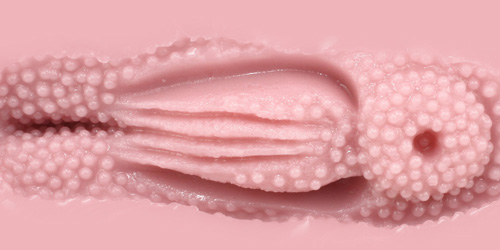 大魔王tomax女神维纳斯系列评测（real，clone，cross）[db:副标题]