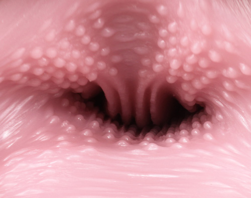 大魔王tomax女神维纳斯系列评测（real，clone，cross）[db:副标题]