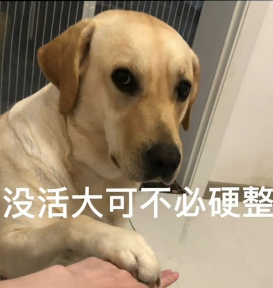 小巧玲珑的二次元女友—对子哈特LC2测评上篇（成川姬,菲崎日向）高刺激[db:副标题]