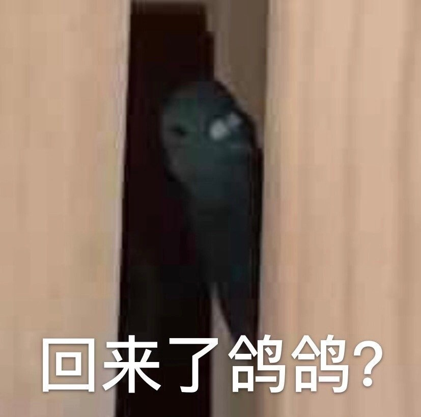 “大师，我悟了！”GXP旋玩杯评测-四星推荐[db:副标题]