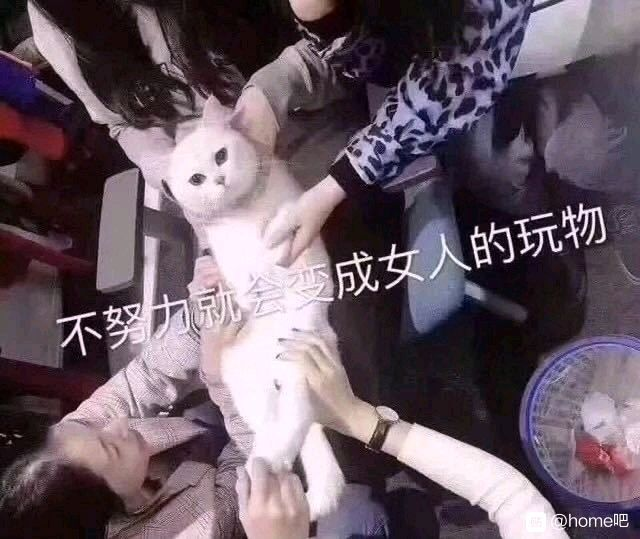 尻王争霸  GXP 森泽佳奈[db:副标题]