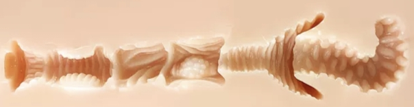 尻王争霸  GXP 森泽佳奈[db:副标题]