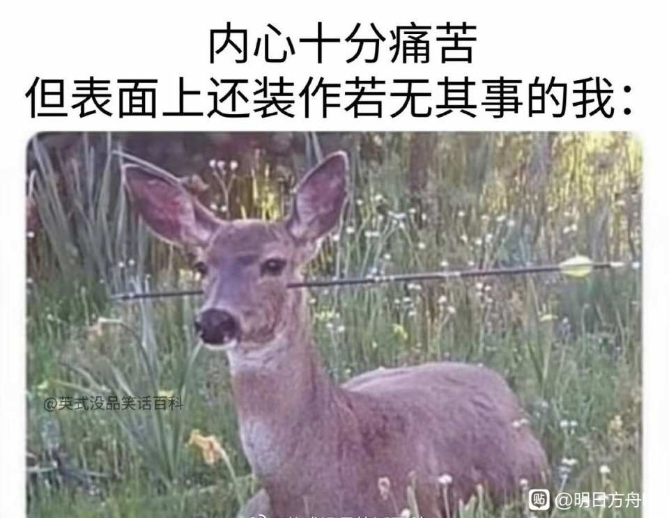 尻王争霸  GXP 森泽佳奈[db:副标题]