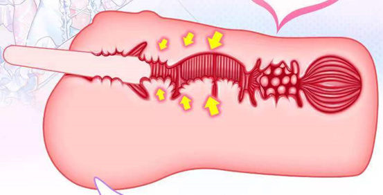 “御姐的挑逗”GXP白丝壁女评测（中等刺激）评测/三星推荐[db:副标题]