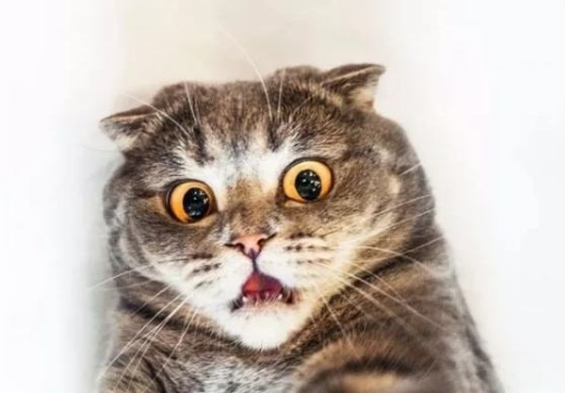 “会吸奶的机器”RQS奶瓶（中低刺激）评测/四星推荐[db:副标题]