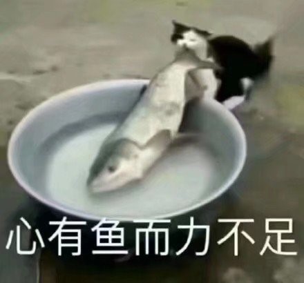 “魅惑新妻”rqs魅惑生腰（中低刺激）测评/4星推荐[db:副标题]