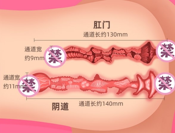 “天使的告白”GXP胖次天使（大型倒模）测评/四星推荐[db:副标题]