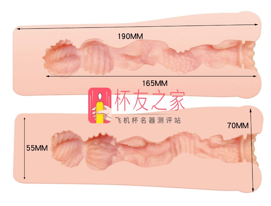 日本对子哈特R20飞机杯测评[db:副标题]