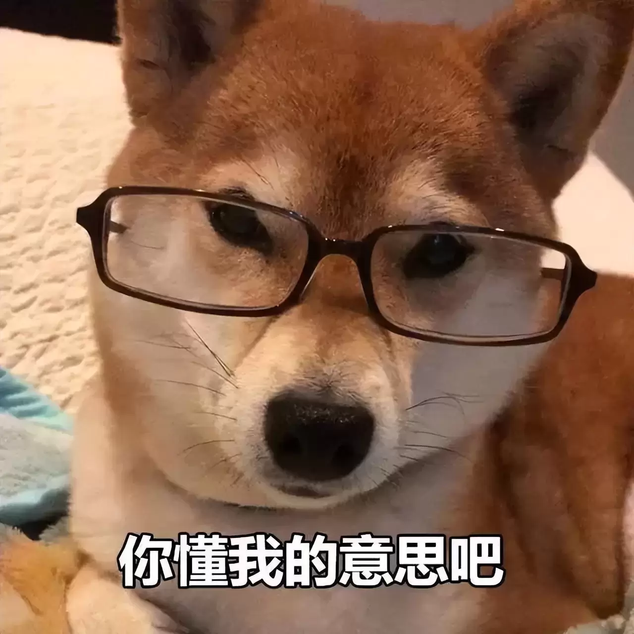真正的解放双手-米杯X全自动伸缩飞机杯评测