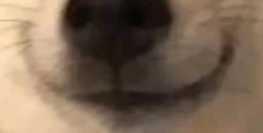 YUU启蒙先辈飞机杯测评 – 明明只是一转眼就过去了,可我却觉得过了一辈子