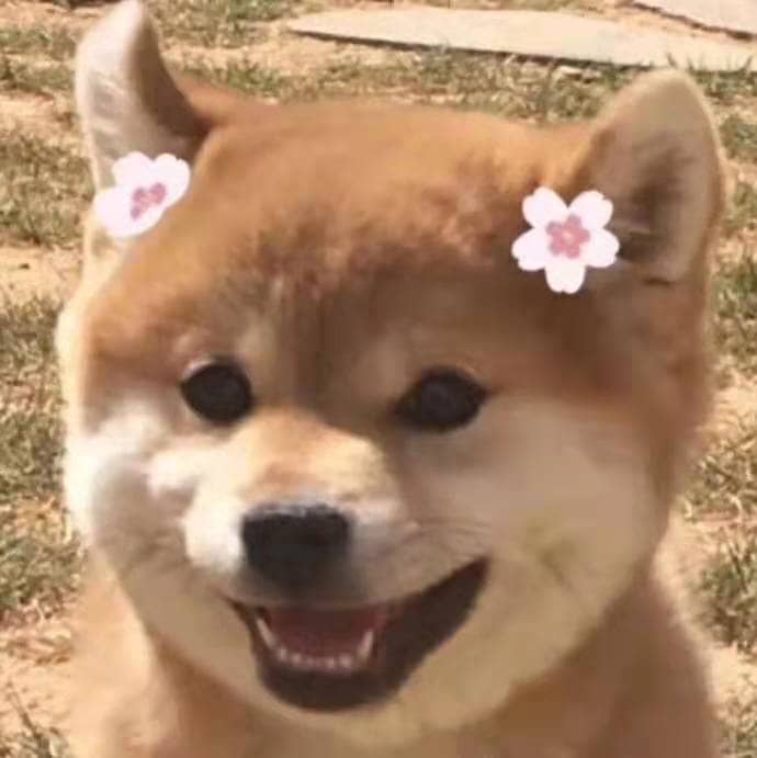 萌慢玩飞机杯名器测评-萌新挚友,超高的性价比,非常适合新入坑的杯友。