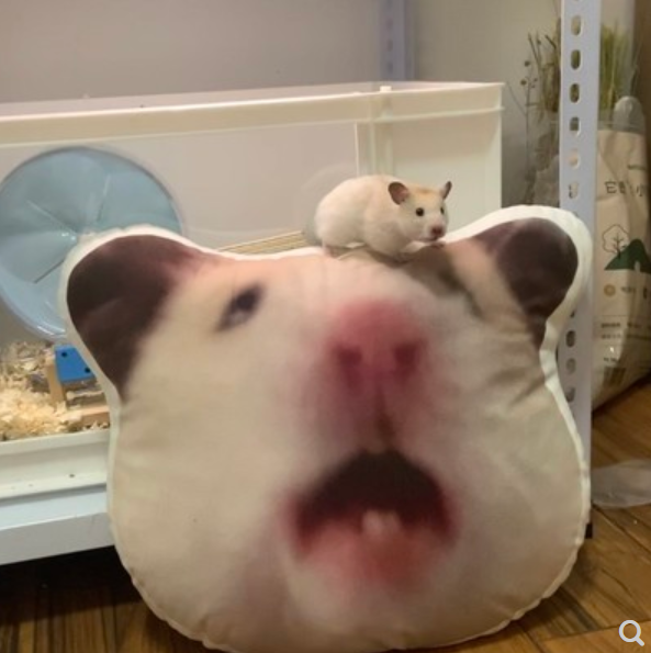 YUU萌新之臀飞机杯名器评测 – 双重享受，一次满足