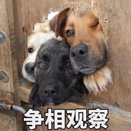 YUU萌新之臀飞机杯名器评测 – 双重享受，一次满足