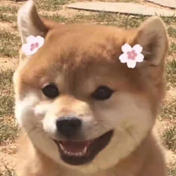 萌新之臀飞机杯名器评测 – 《关于我“锻炼身体”却意外成为勇者这件事情》