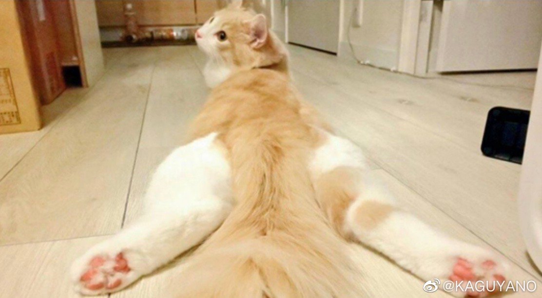 国产kaguyano千岛酱飞机杯名器评测 – 还有COS福利