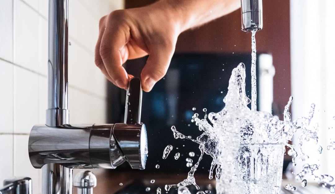 派蒂菈电击玩具测评