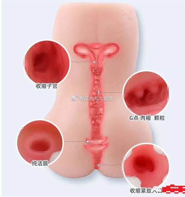 枫花恋中高刺激测评,新手进阶使用。