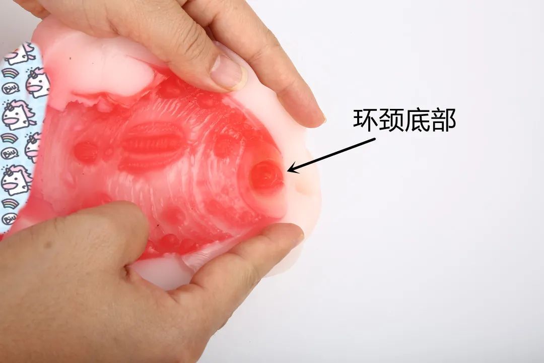 NPG-熟女星-市川京子飞机杯