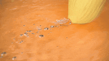 羞羞!第一次用逗豆鸟,就舒服到腿软了