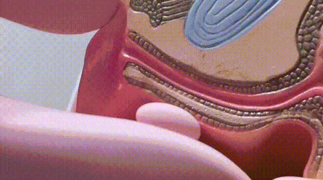 男女必学的指法 ,潮吹湿了床单……