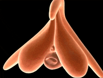 玩具测评：诱魅芒果派脉冲吮吸跳蛋