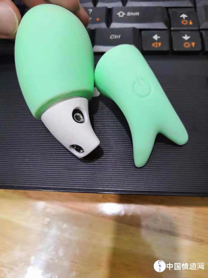 小鲸鱼跳蛋自用测评!