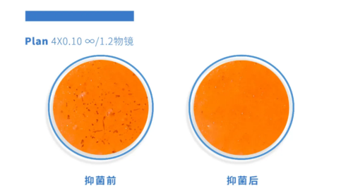 一款专为女性设计,能抑菌的润滑液
