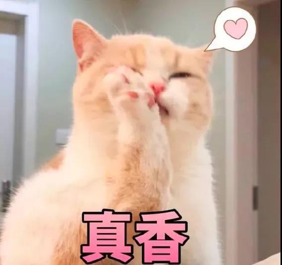 仙女测评┃派蒂菈穿戴小玩具