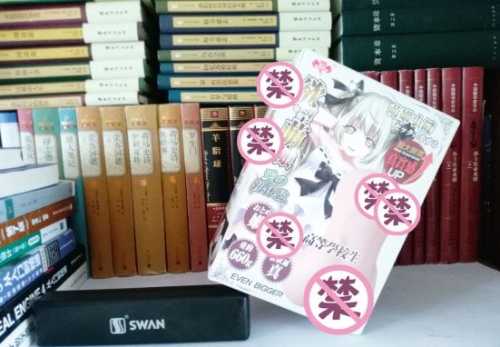 极具性价比的大玩具——撸撸杯欲望萌娘开箱评测