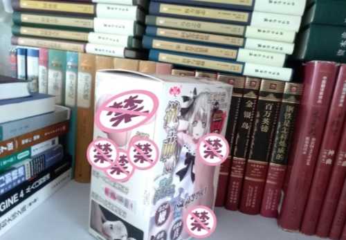 极具性价比的大玩具——撸撸杯欲望萌娘开箱评测