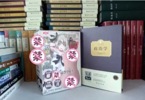 极具性价比的大玩具——撸撸杯欲望萌娘开箱评测