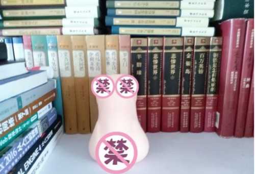 极具性价比的大玩具——撸撸杯欲望萌娘开箱评测