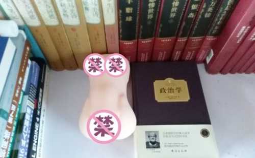 极具性价比的大玩具——撸撸杯欲望萌娘开箱评测