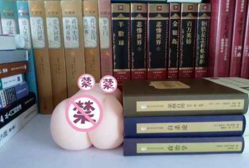 极具性价比的大玩具——撸撸杯欲望萌娘开箱评测