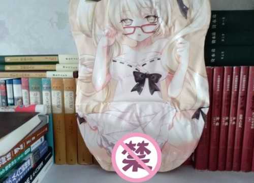 极具性价比的大玩具——撸撸杯欲望萌娘开箱评测