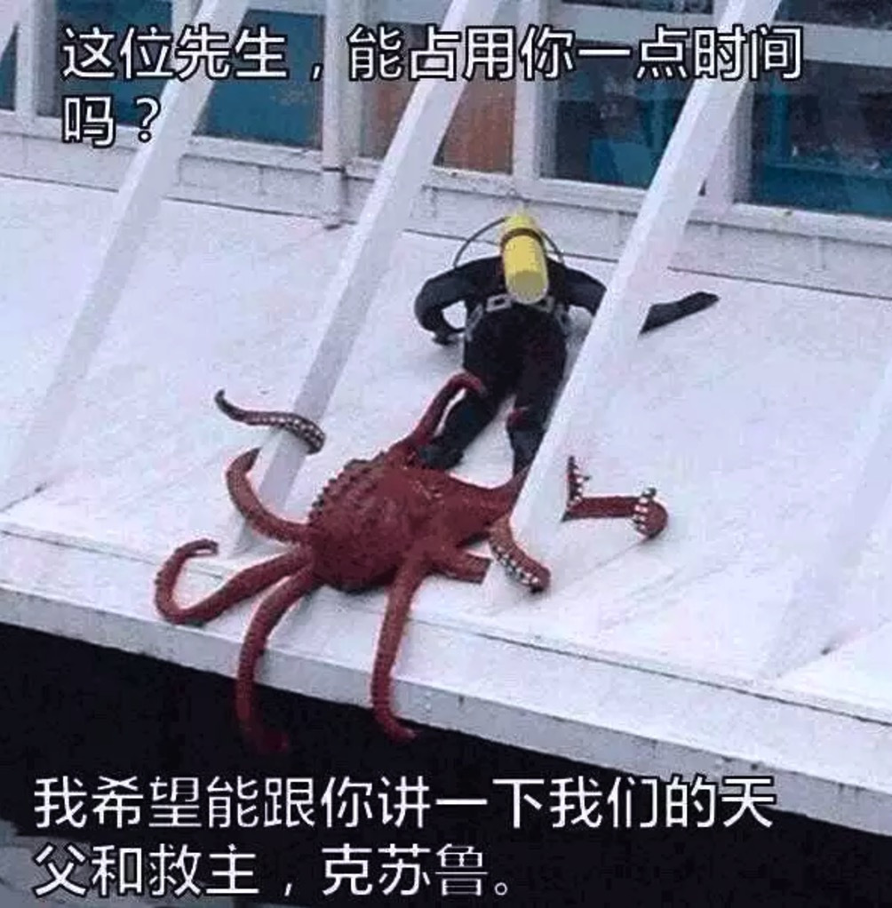 YUU柔臀似水屁股测评 – 软萌plus+