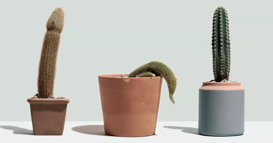 什么形状的丁丁最受姐妹们青睐?  TITILLO 勺子震动棒