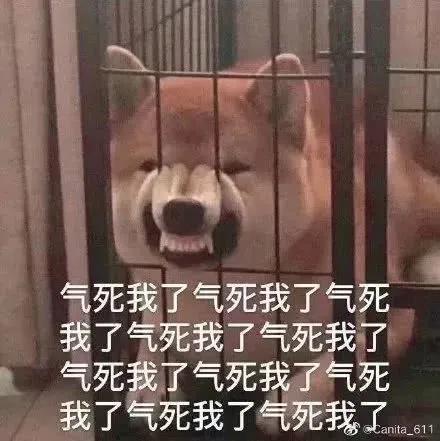 惊了!一个勺子竟然能让人嗨爽连连……TITILLO