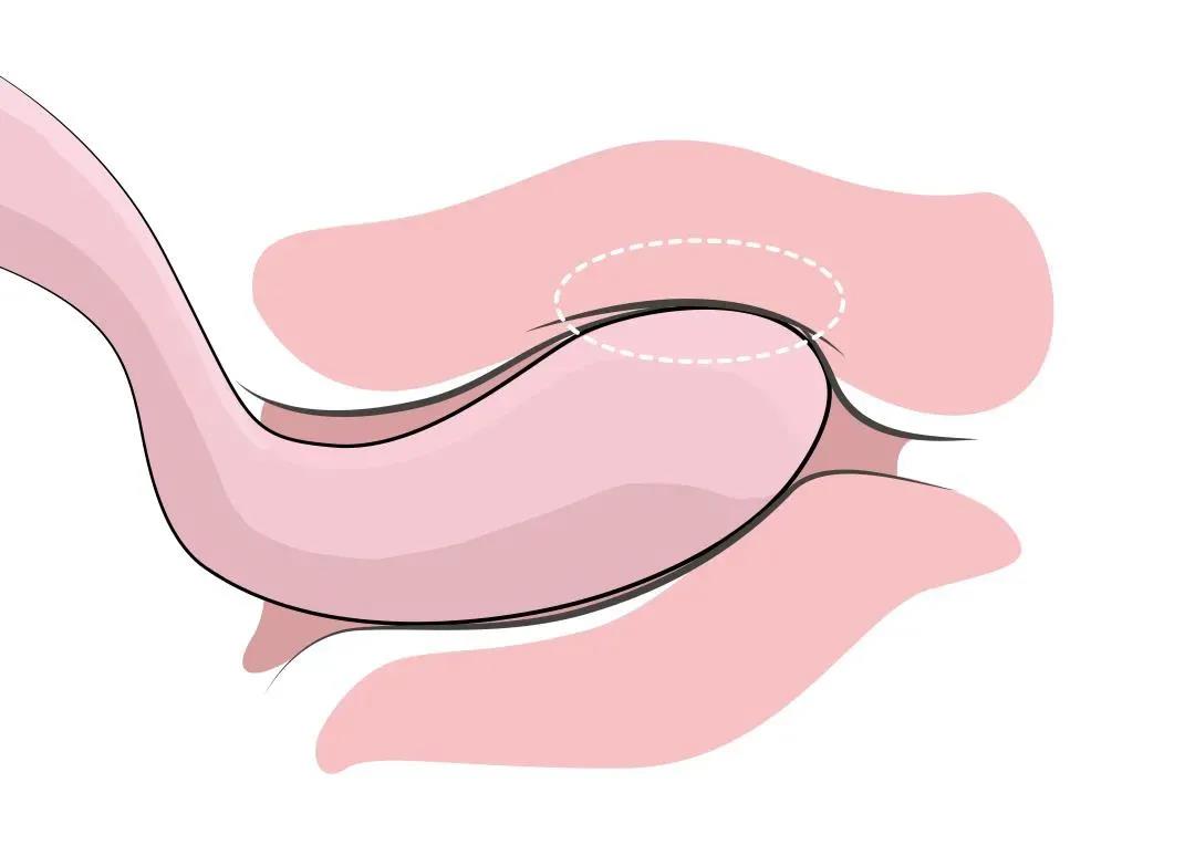 【玩测评】逃不掉的！这个S型的“人间扳手”，彻底搞定了我