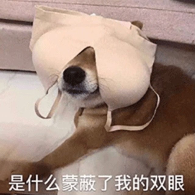 ROMPFlip艾薇棒测评